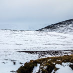 Scotland Spring 2018 - Cairngorms
